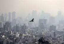 مجلس راه‌کار ارزان برای کاهش آلودگی هوا داد
