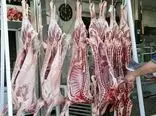 9 هزار تن گوشت عشایری به زودی وارد بازار می‌شود