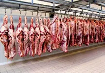 قیمت گوشت امروز یکشنبه  ۷ خرداد  ۱۴۰۲  /  قیمت ها ثابت ماند
