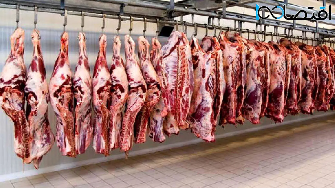 ارز واردات گوشت گرم حذف نشده است / ارز نیمایی واردات گوشت منجمد حذف شد