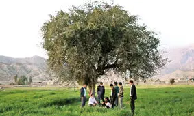 حال و روز روستای « مال ملا » دو سال پس از سقوط سنگین بورس