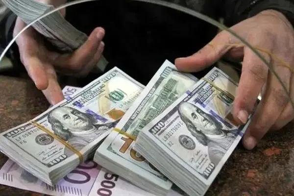 قیمت دلار امروز پنجشنبه ۱۰ خرداد ۱۴۰۳ / ارزهای مهم با فریز قیمت دلار همراه شدند