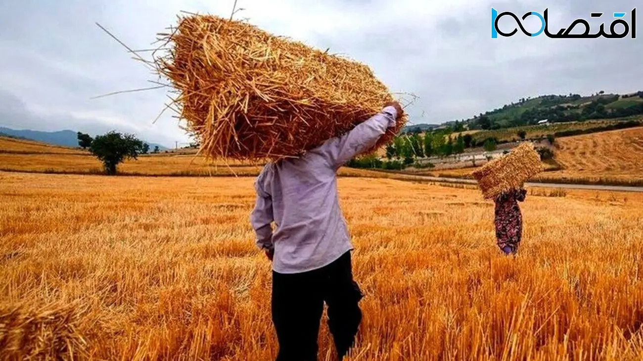 مطالبات گندم کاران به زودی پرداخت می شود