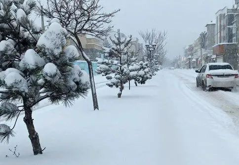  بارش برف کردستان را سفیدپوش کرد 