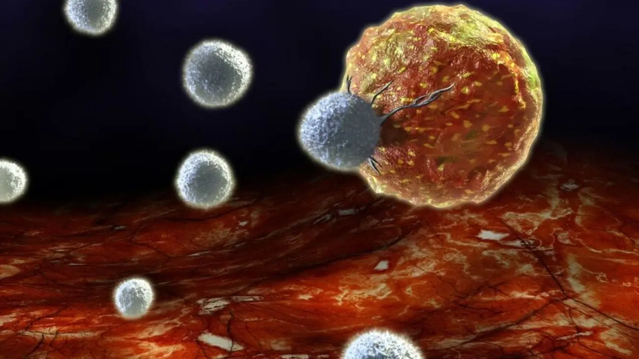 امیدی تازه برای درمان سرطان: ساخت اسفنجی که تومورها را کوچک می‌کند