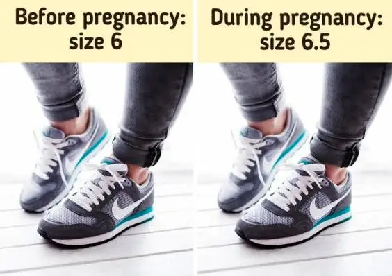 افزایش سایز اعضای بدن در دوران بارداری