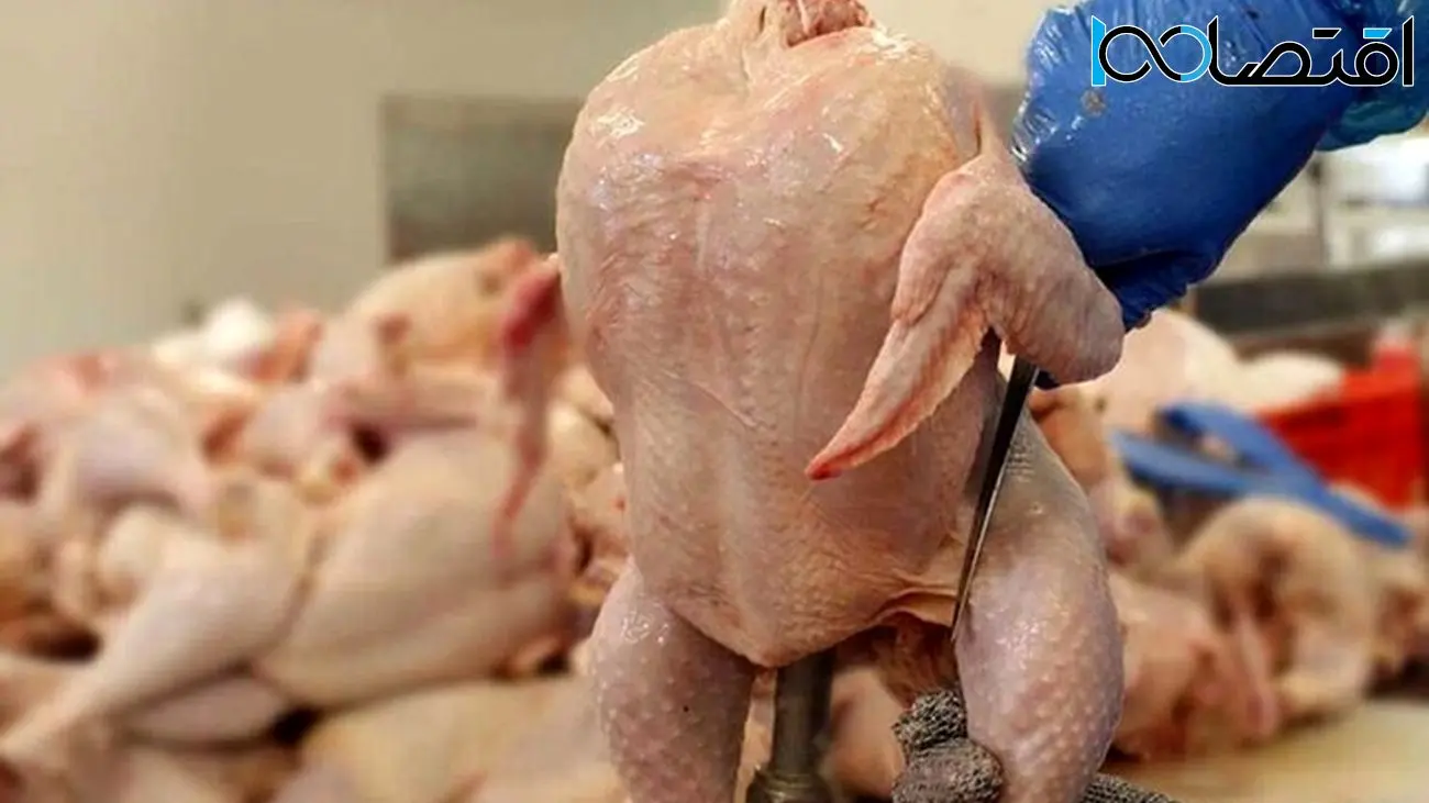 ریزش ناگهانی قیمت مرغ در بازار/ هر کیلو مرغ 10 هزار تومان ارزان شد