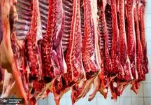 قیمت انواع گوشت گوسفندی / سیرابی گوسفندی کیلویی چند؟