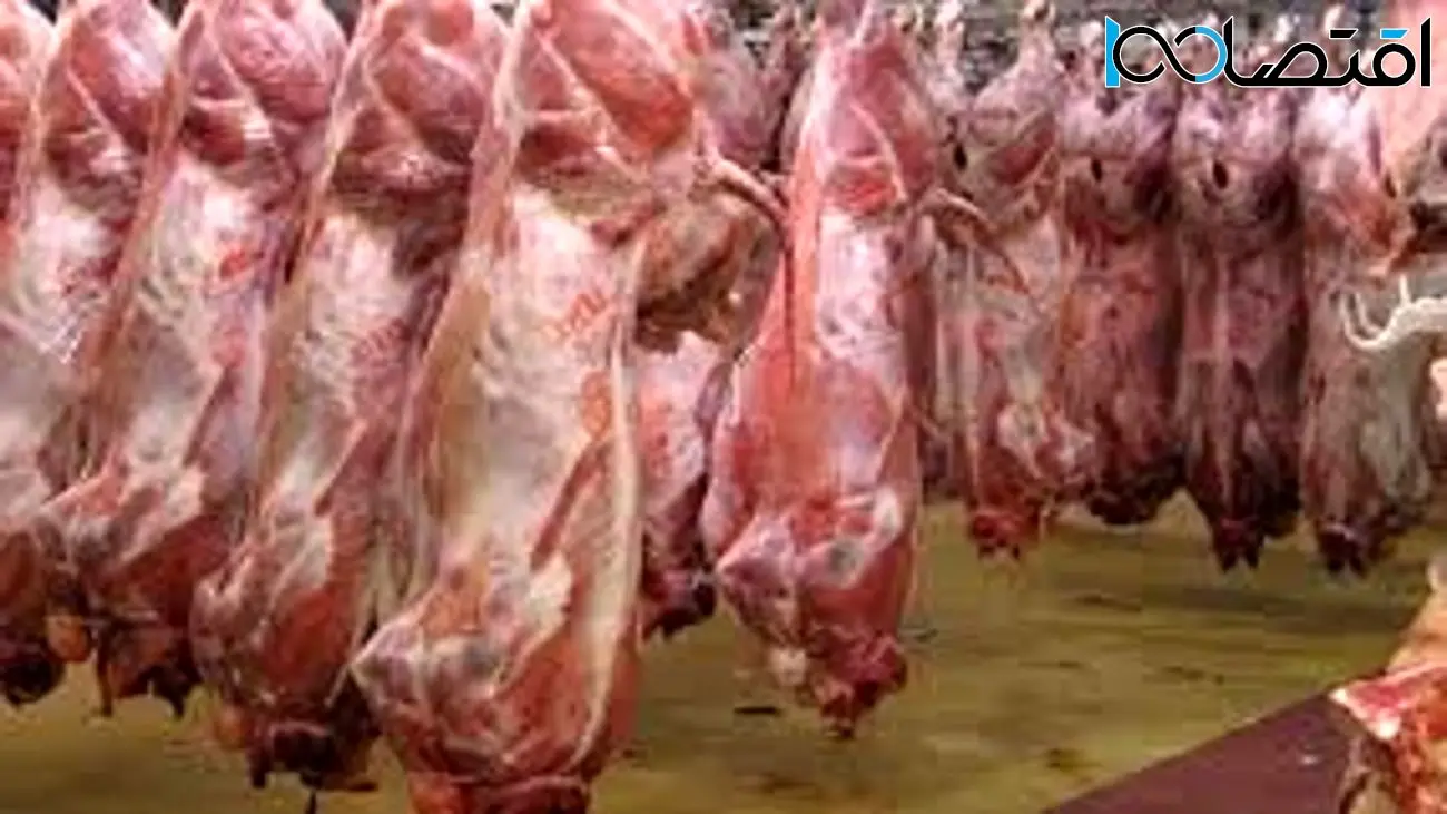 ۷۰واردات گوشت کنیا چه تاثیری بر بازار گذاشت؟ /  هزار نیسان آبی، فدای ۵۰ گرم گوشت قرمز 