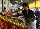 قیمت انواع میوه و صیفی هفته اول پاییز اعلام شد /  جدیدترین قیمت موز، سیب، خیار، هلو، انجیر و انگور