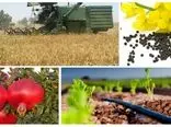 مزارع قزاقستان امنیت غذایی ایران را تامین می کنند؟