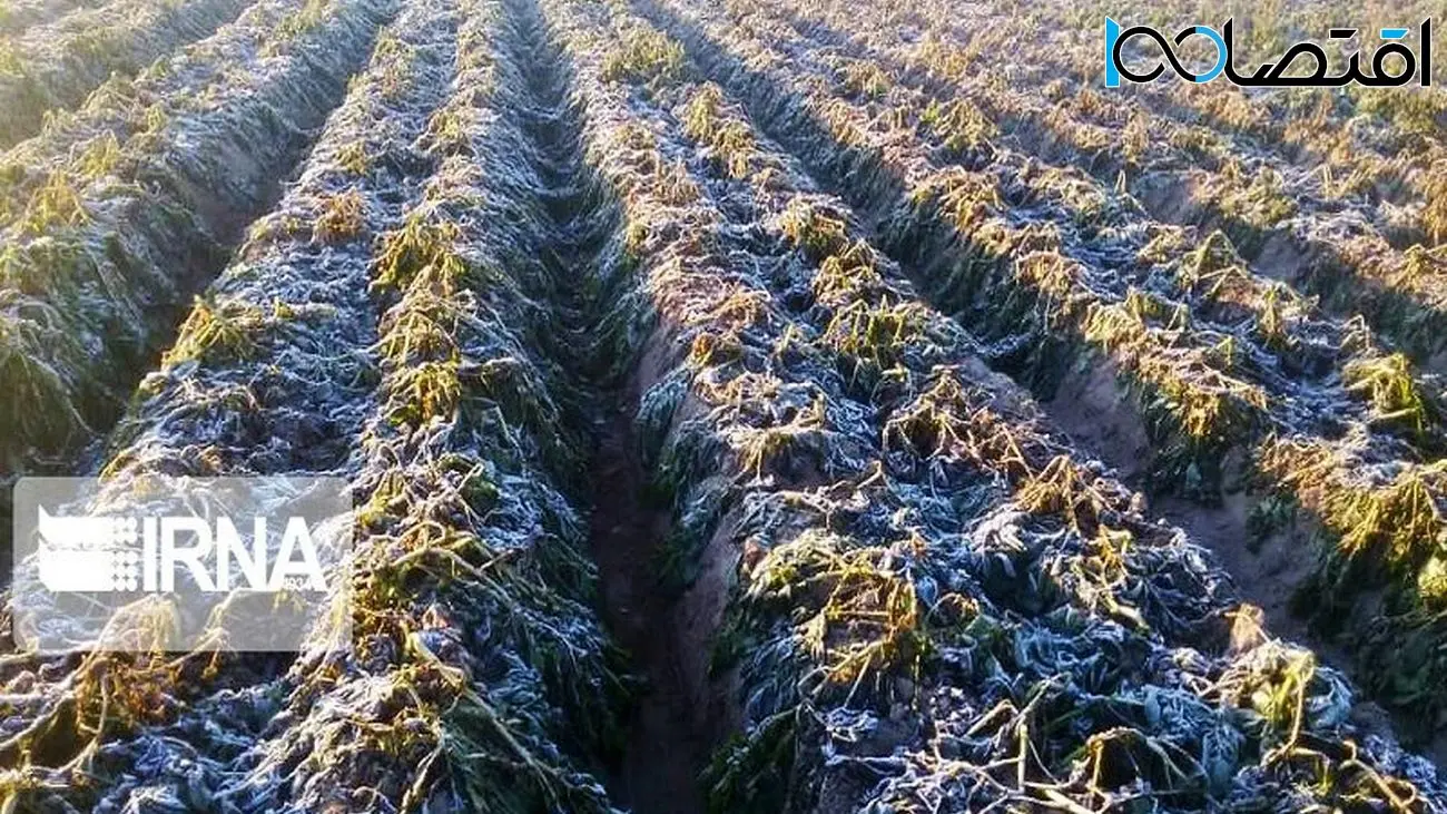 گرمایش زمین موجب خشکسالی‌های ناگهانی و متعدد شده است