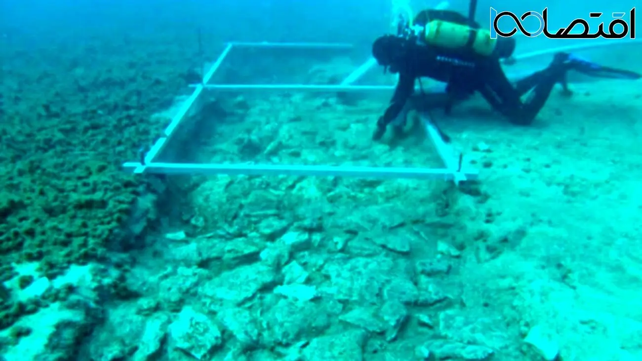 محققان یک جاده مخفی 7000 ساله را در کف آب‌های ساحلی در کرواسی کشف کردند