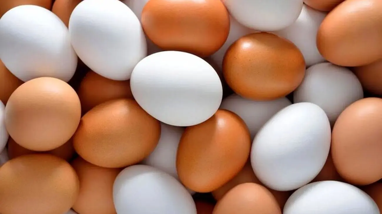 قیمت تخم مرغ از گوشت مرغ گران تر شد /  هر شانه چند؟!