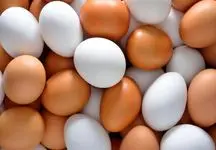 قیمت تخم مرغ از گوشت مرغ گران تر شد /  هر شانه چند؟!