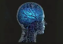چگونه مغز را به یک جنگجوی هوشمند تبدیل کنیم؟
