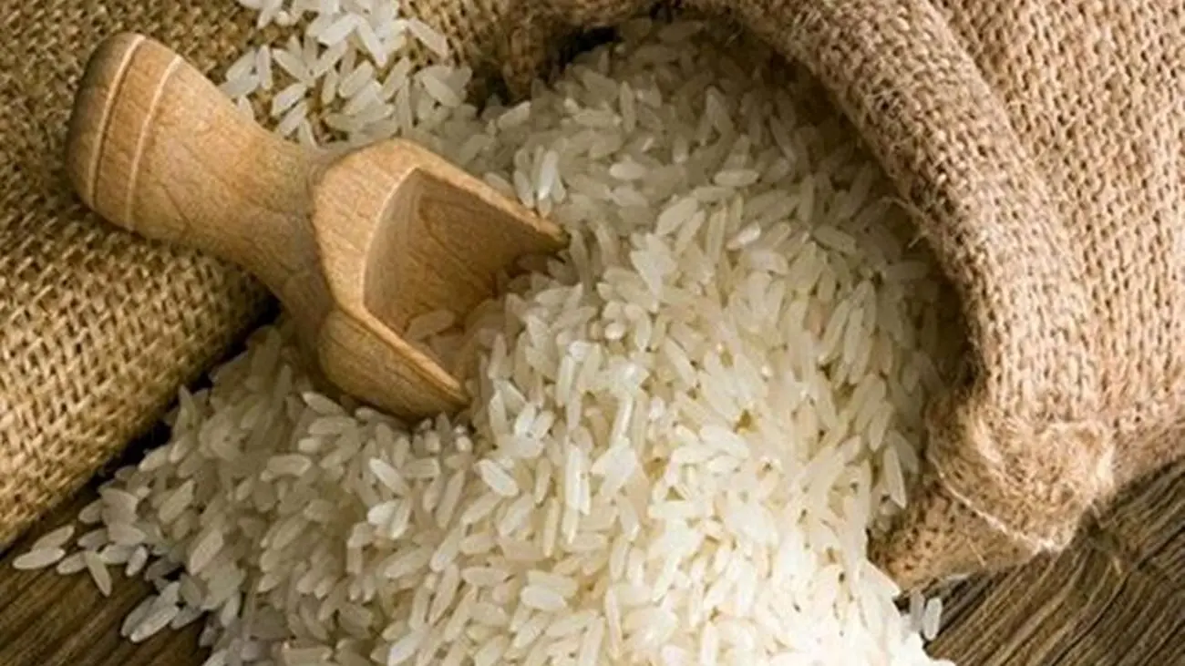 دولت از کل زنجیره بازار برنج خارج می شود؟