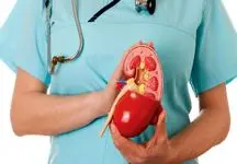 خواص بی‌نظیر دمنوش گل گاوزبان: تقویت کلیه و منبع ویتامین C
