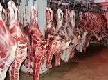 جزئیات توزیع گوشت ارزان قیمت
