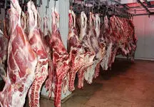 جزئیات توزیع گوشت ارزان قیمت
