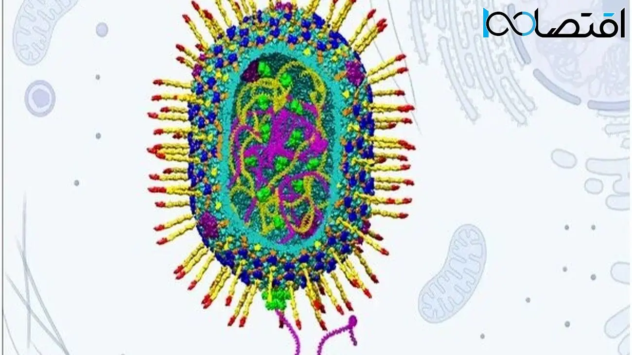 ویروس مصنوعی از جنس نانو جان انسان ها را نجات می دهد