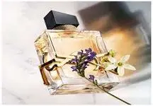 این عطر زنانه با بوی اسطوخودوس که از پرطرفدارترین‌های جهان است