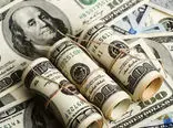 
هشدار اساسی و مهم به خریداران دلار