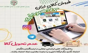 فروشنده اینترنتی کلاهبردار بود