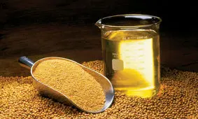 خواص روغن سویا چیه و چه کاربردی داره؟