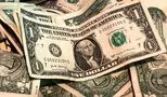 تحلیل قیمت دلار از زبان همتی/ منتظر چه تغییراتی باشیم؟