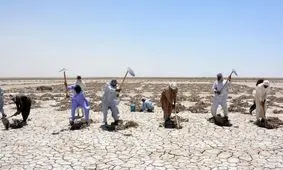 موج مهاجرت در سه استان خوزستان، لرستان و کرمانشاه / از دست رفتن خطرناک فرصت 