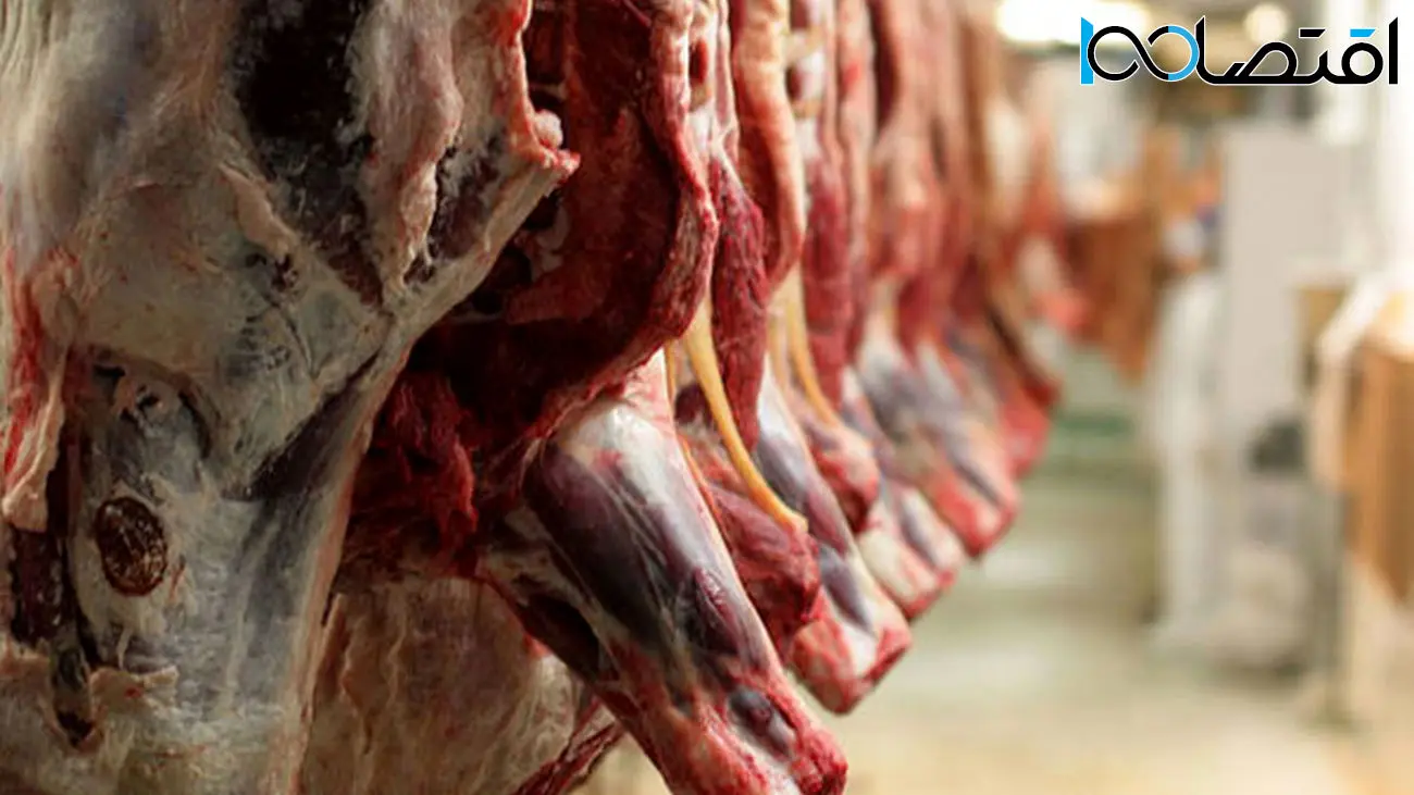 قیمت جدید گوشت گوسفندی و گوساله در بازار/ ران گوسفندی ۶۷۰ هزار تومان!
