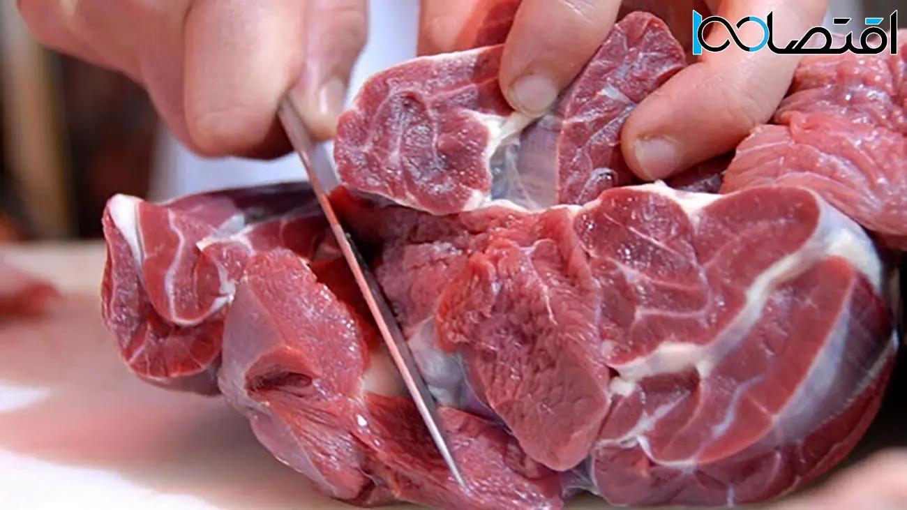 عرضه گوشت‌ وارداتی با قیمت 230 هزار تومان
