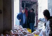 برنج و مرغ ارزان به بازار رسید