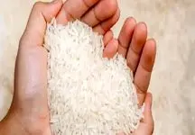 برنج ۲۰۰ هزار تومانی را فراموش کنید ؛ برنج ۴۸ هزار تومانی رسید 