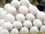 تخم مرغ های ایرانی جهانگرد می شوند!