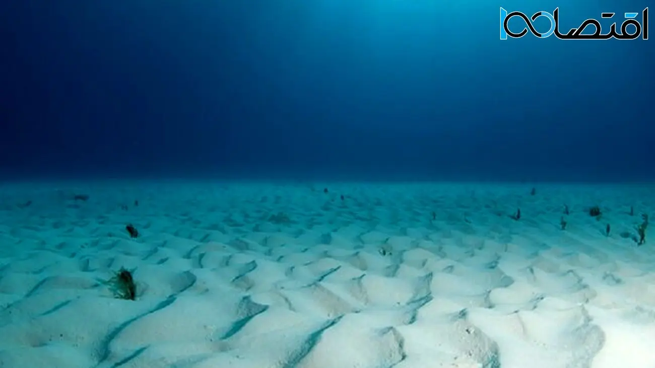 اگر همه ماهی‌های اقیانوس ناپدید شوند چه می‌شود؟