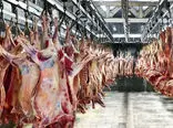 قیمت جدید گوشت امروز 22 شهریور  / محموله گوشت گوسفندی از کنیا به ایران رسید 