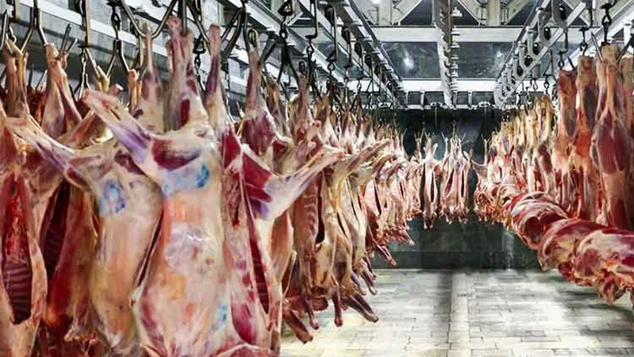 قیمت جدید گوشت امروز 22 شهریور  / محموله گوشت گوسفندی از کنیا به ایران رسید 
