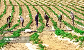 بیکاری به روستاها رسید / روستاهایی که دنبال توریست هستند