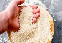 برنج نباید گران شود / صادرات پیاز و سیب‌زمینی ممنوع
