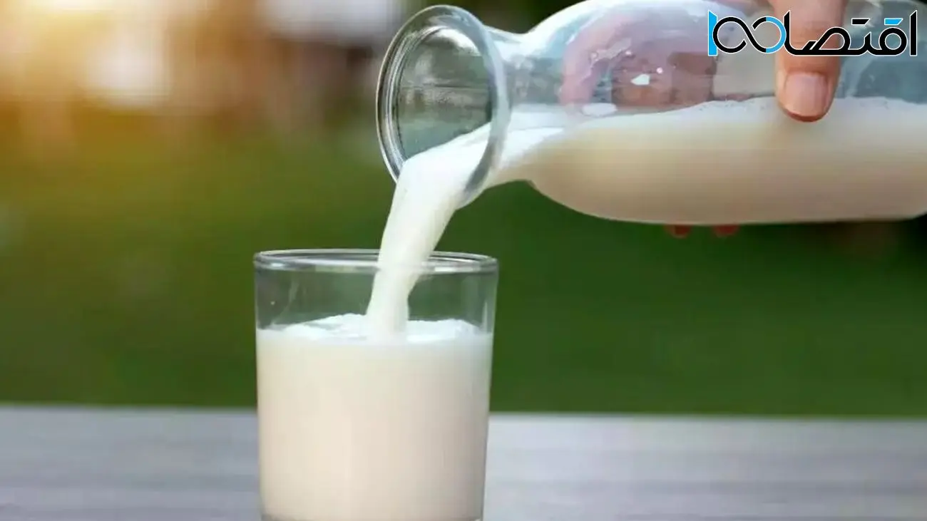 پژوهش جدید: سطح مواد مغذی در شیرهای گیاهی کمتر از شیر گاو است