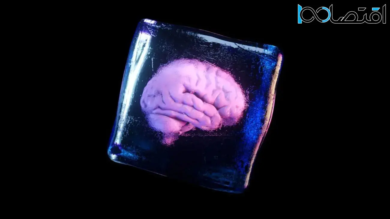  محققان چینی مغز منجمدشدۀ انسان را دوباره زنده کردند | تصاویری از بافت مغز ذوب‌نشده و و ذوب‌شده را ببینید +تصویر 