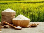 قیمت برنج امسال چقدر گران می‌شود؟
