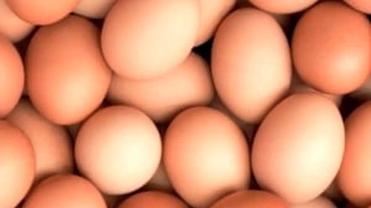 کاهش قیمت تخم مرغ در بازار / شانه ای چند ؟!