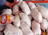 شکایت مرغداران از قیمت مرغ / مرغ گران می شود ؟!