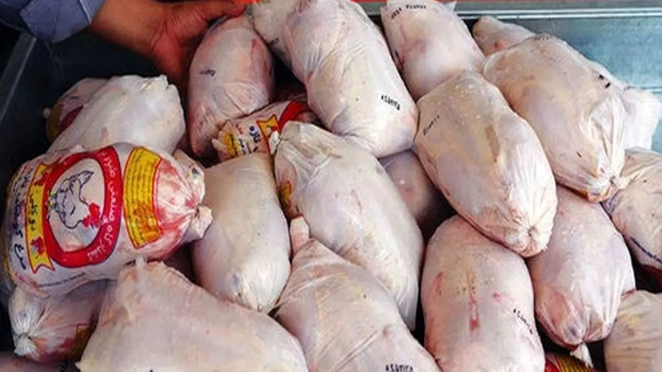 شکایت مرغداران از قیمت مرغ / مرغ گران می شود ؟!