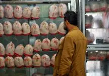 مرغ در سراشیبی ارزانی قرار گرفت 