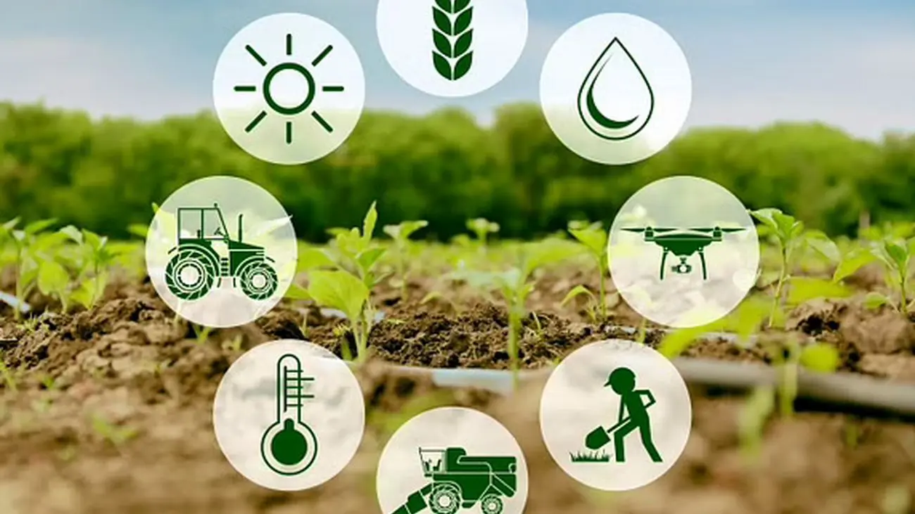 صنعت کشاورزی با رشد فناوری‌ها چگونه خواهد بود؟