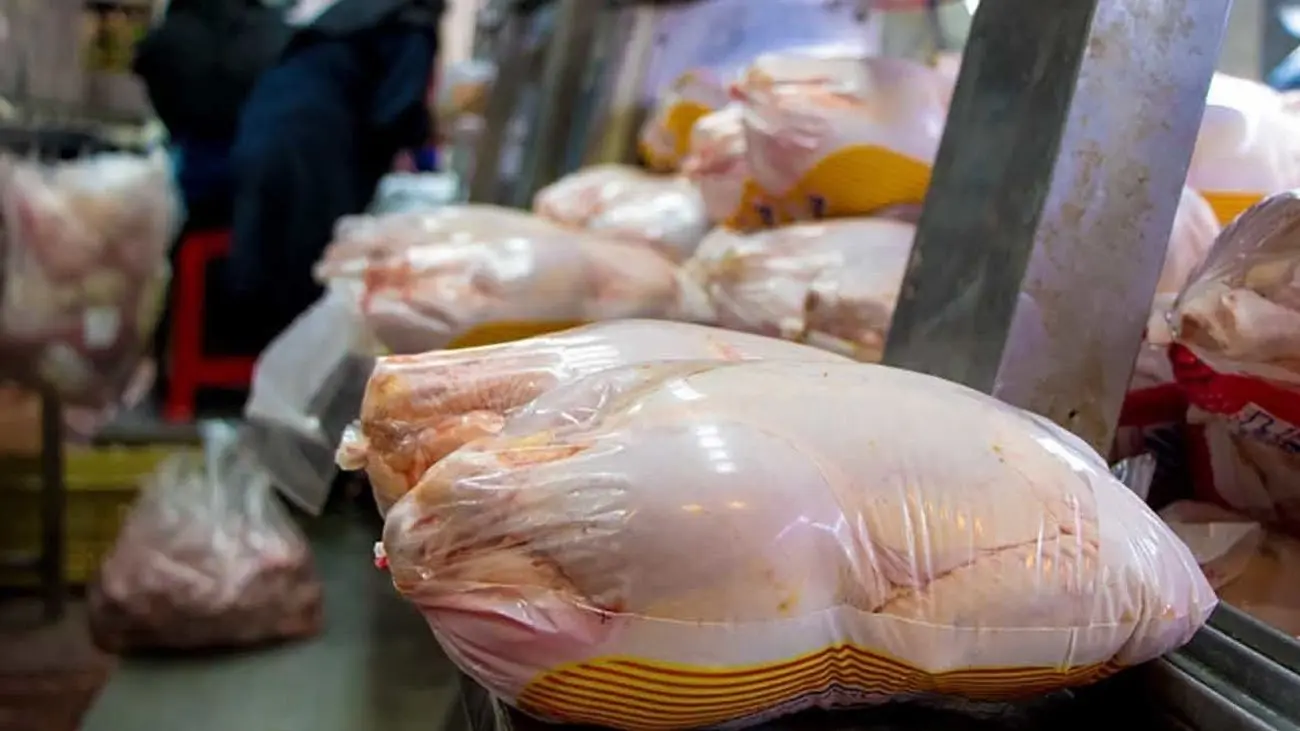 سناریو سازی برای فروش مرغ ! / هم گران شده هم مردم بیشتر می خرند ؟